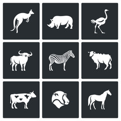 Animals of the Australian continent icons set. Vector Illustration.