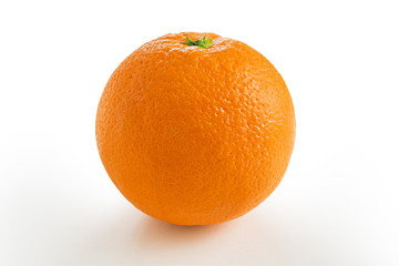 orange nature on a white background.