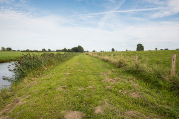 Rural landscape in the summer season