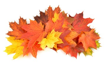 Naklejka na ściany i meble Goldener Herbst - fallende bunte Blätter