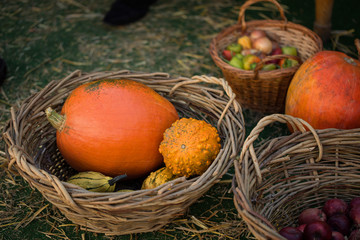 Obraz na płótnie Canvas Colorful pumpkins in basket with apples and pepper