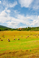 Tuscany Landscape