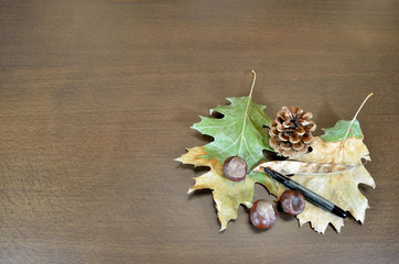 Dry leaves and chestnuts on wooden surface