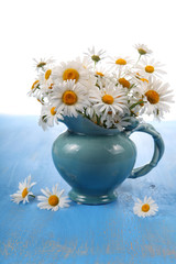 Beautiful chamomiles in a blue jug