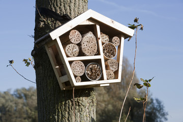 Solitary bee hotel