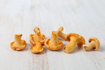 Chanterelles
