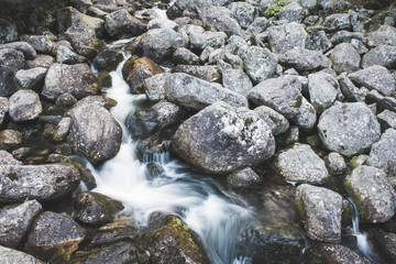 Cascade falls over mossy rocks