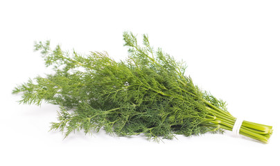 Bunch of fresh dill. Isolated on white background