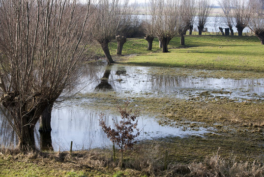 Floodplains of the river