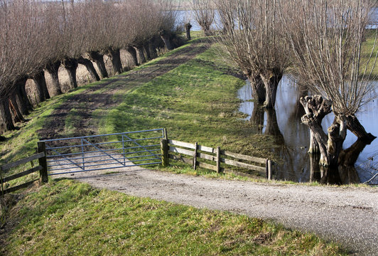 Road to the river