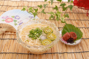 おいしそうな素麺 