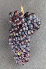 Blue grape cluster on slate board
