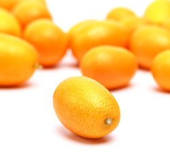 kumquat