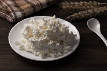fresh tasty cottage cheese on a plate on wooden background. Homemade, curd