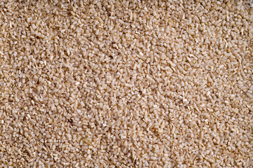 Rice Germs Closeup 
