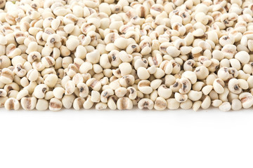 job's-tears of millet on white background