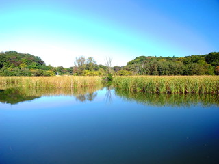 秋の千駄堀池風景
