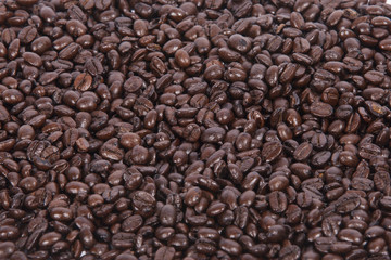 roasted coffee beans 