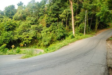 Obraz premium A steep road in the jungle of Koh Chang, Thailand