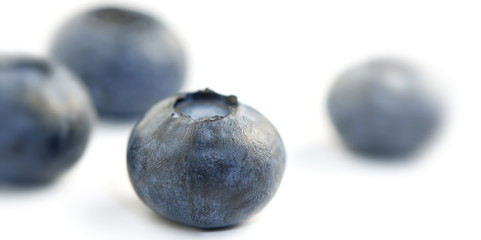 group of four blueberries shot in extreme close-up the front blu