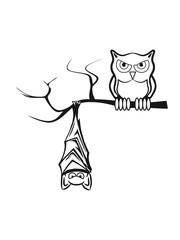 halloween owl bat night