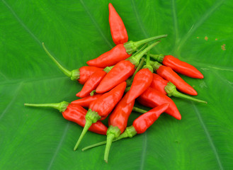 Red pepper