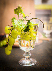 wine glass with a bright grapes on a branch and leaves on a dark wooden background close up
