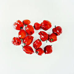 Red pepper on white background. Minimal style