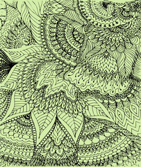 Vector illustration of doodle drawing on the light green background. Abstract black lines, curves and leaves. Vintage backdrop. Hand-drawn texture. 