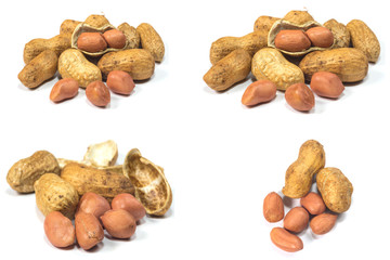 peanut isolated on white background
