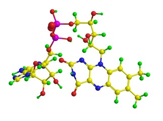 Molecular structure of flavin adenine dinucleotide (FAD)