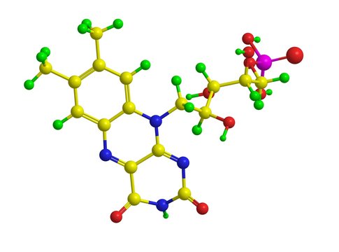 Molecular structure of flavin mononucleotide (FMN)