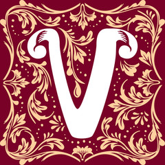 old vintage letter V