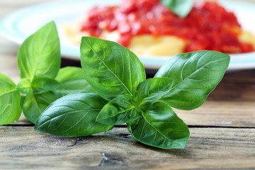 foglie di basilico fresco