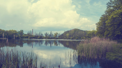 Toned landscape at the lake with reeds and mountains