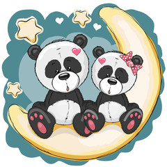 Two Pandas on the moon