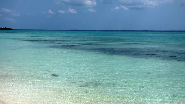 overview of the bautiful beaches of zanzibar
