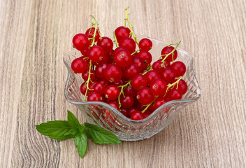 Red currant