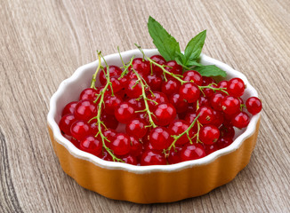 Red currant