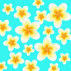 Plumeria seamless pattern on blue background