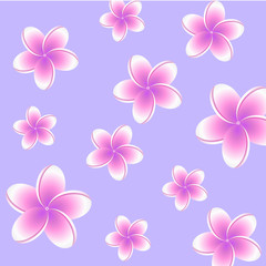 Plumeria seamless pattern with pink petals on violet background