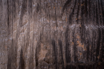 Obraz premium wood texture