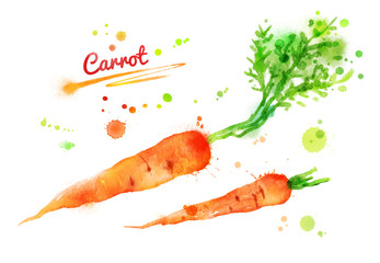 Watercolor carrots.