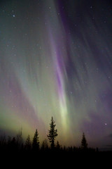 Northern lights (Aurora Borealis)