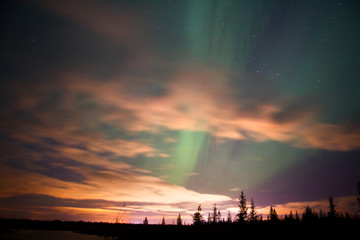 Fototapeta premium Northern lights (Aurora Borealis)