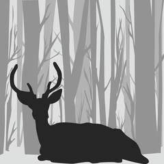 Deer stag silhouette  in forest landscape