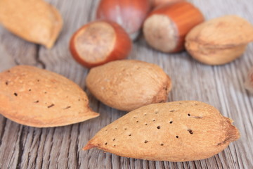 Amandes et Noisettes