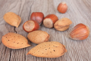 Amandes et Noisettes