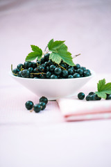 Schwarze Johannisbeeren