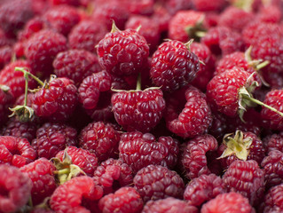 Малина крупным планом